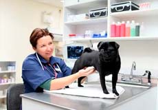 master na chas uslugi 12